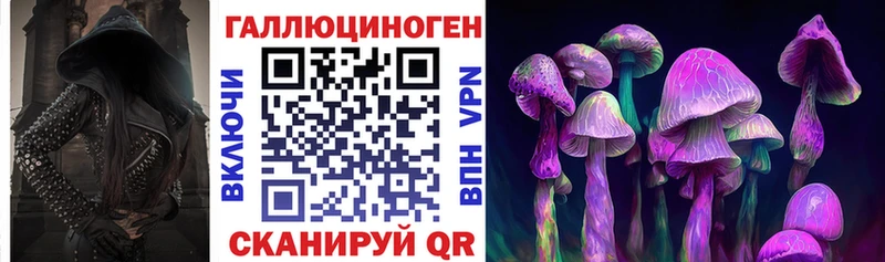 Псилоцибиновые грибы Psilocybine cubensis  ОМГ ОМГ ССЫЛКА  Судак 
